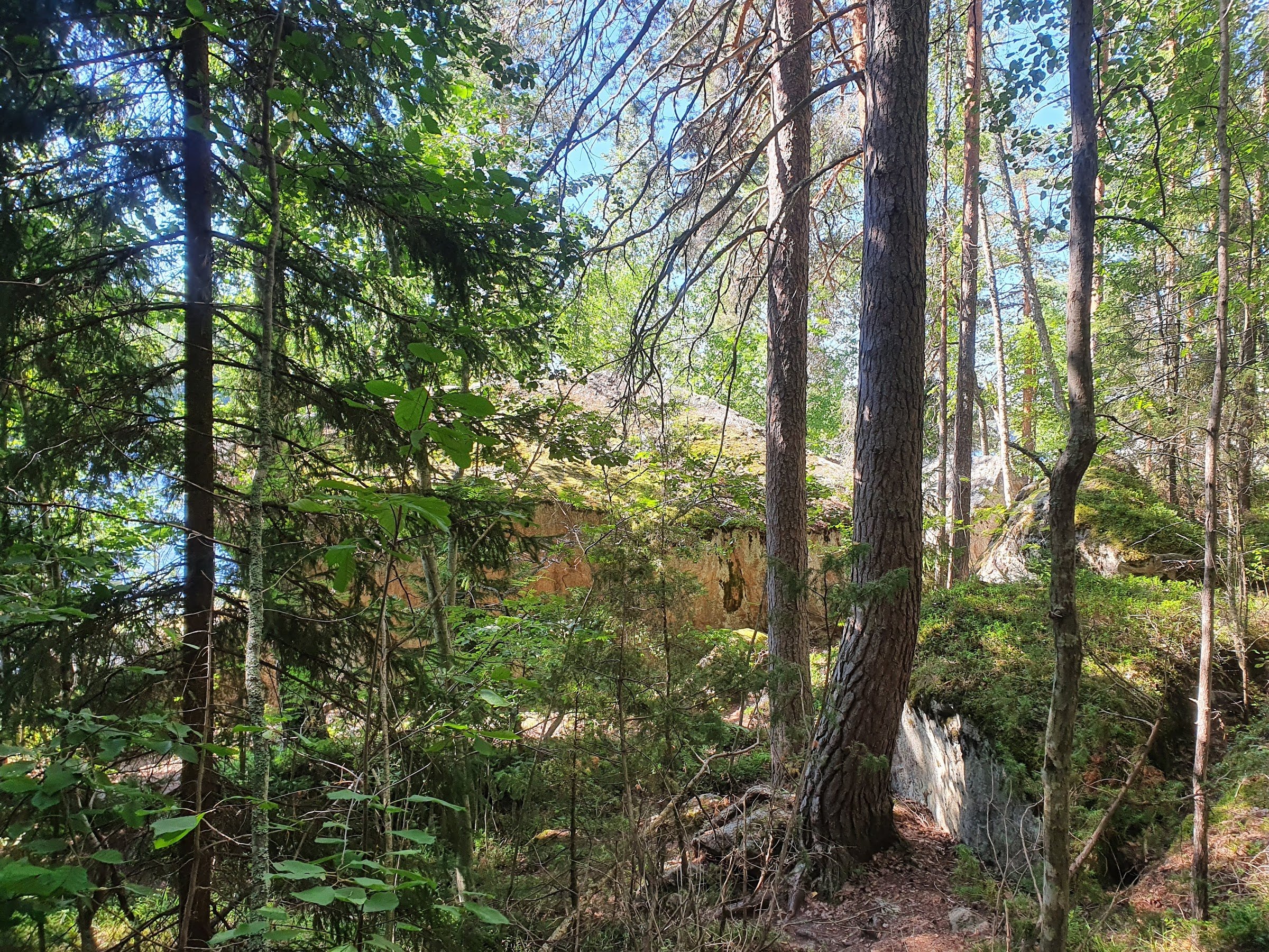 Pisamalahti Hill Fort (Pisamalahden linnavuori)